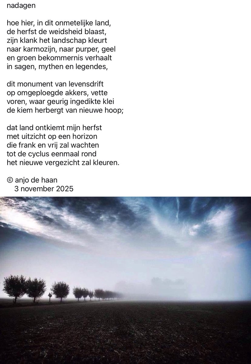 Anjo de Haan 📷 @anjodehaan.bsky.social (@anjodehaan) on Twitter photo 