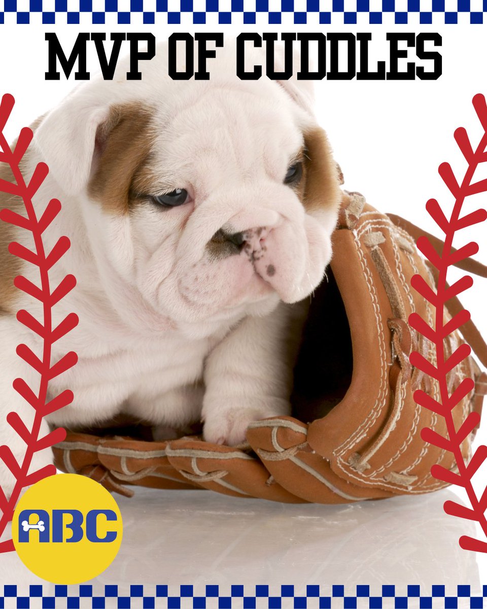 Animal Behavior College tweet media