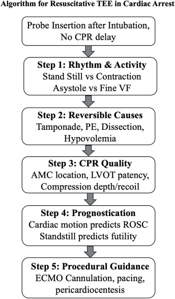 Critical Care Reviews tweet media