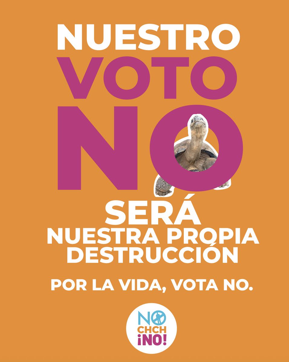 NOchchNO's tweet photo. PANAAAAA NO TE DEJES VER LA CARAAAA!!!
Que no digan que estamos mintiendo...
Esta consulta quiere quitarte tus derechos, lo dicen ellos mismos.  🙄🙄:

- Nos contaminarán Galápagos, afectando la vida
- Nos quitarán los décimos
- Le quitarán los derechos a la naturaleza y los animales
- Nos dejarán sin educación universitaria gratuita

... y con nuestra propia plata!!!

$250 millones que se pueden usar para salud, educación, seguridad, serán gastados en quitarnos Derechos.

Por eso le decimos #NOchchNO