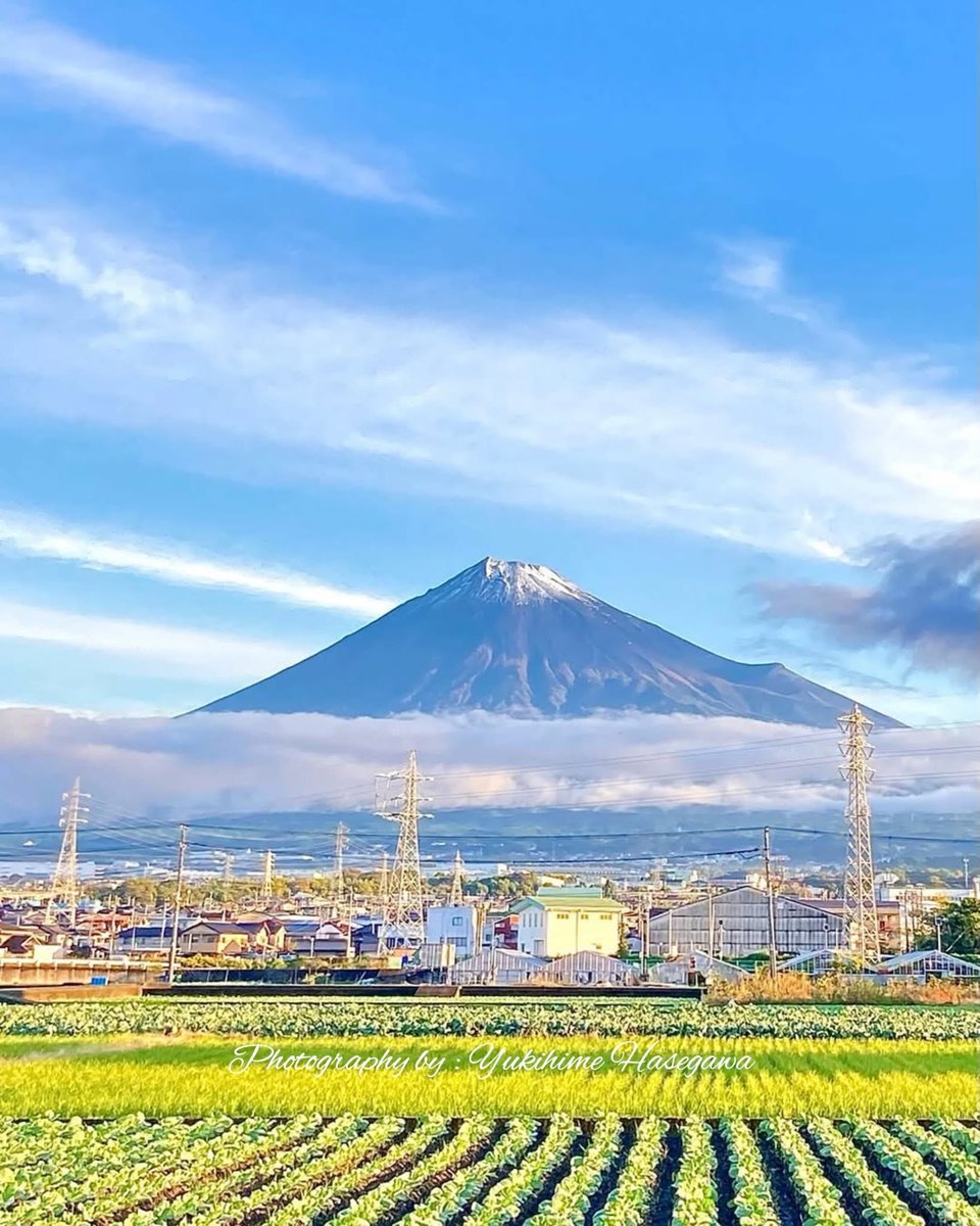 皆さん、おはようございます😺
今日も✨よろしくお願いします
こちらは快晴で☀️
放射冷却で寒いです‼️
良い一日をお過ごし下さい👋