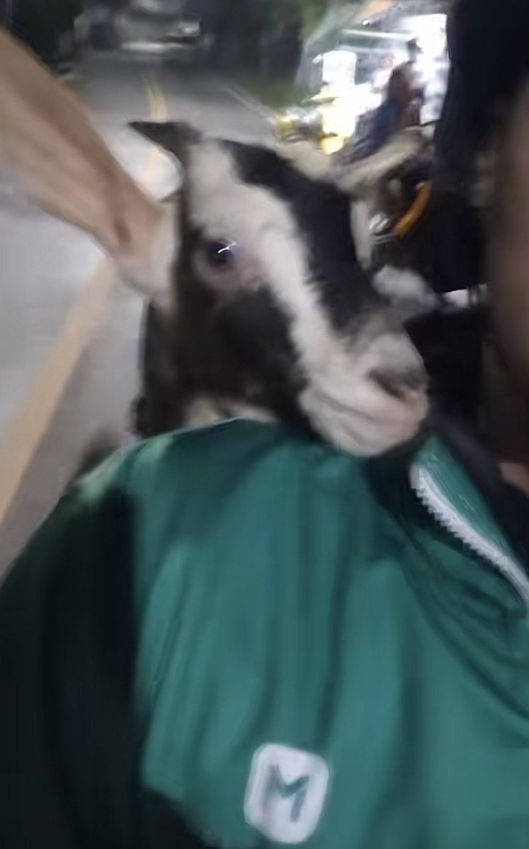 <a href="/nampingnapat/">Namping</a> อาจจะส่งไลน์แมนน้า✌🏻😔