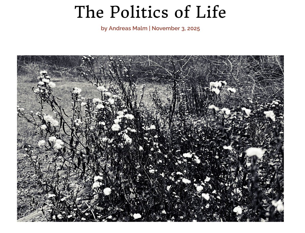 "Resistance entails understanding the struggles required now to hand life and freedom to those who come after us." 

Please read this stunning and goose bump-producing essay by Andreas Malm in <a href="/salvagedotzone/">Salvage</a>, which reminds us of what actually matters.
salvage.zone/the-politics-o…