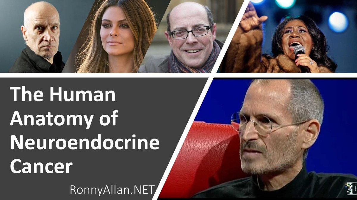 The Human Anatomy of #NeuroendocrineCancer ronnyallan.net/2024/03/23/the…
