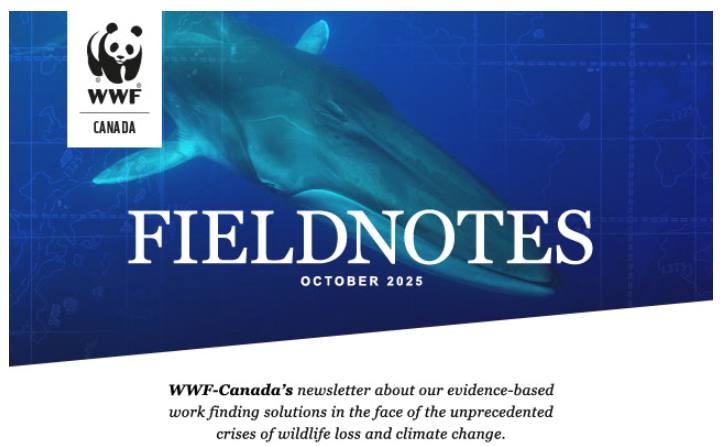 HAS was mentioned in the World Wildlife Federation's October newsletter as one of the recipients of their grants. 

Thank you to our Eco Club, under the guidance of Mrs. Margetak, for your continued pursuits that help us "take care of our environment"!