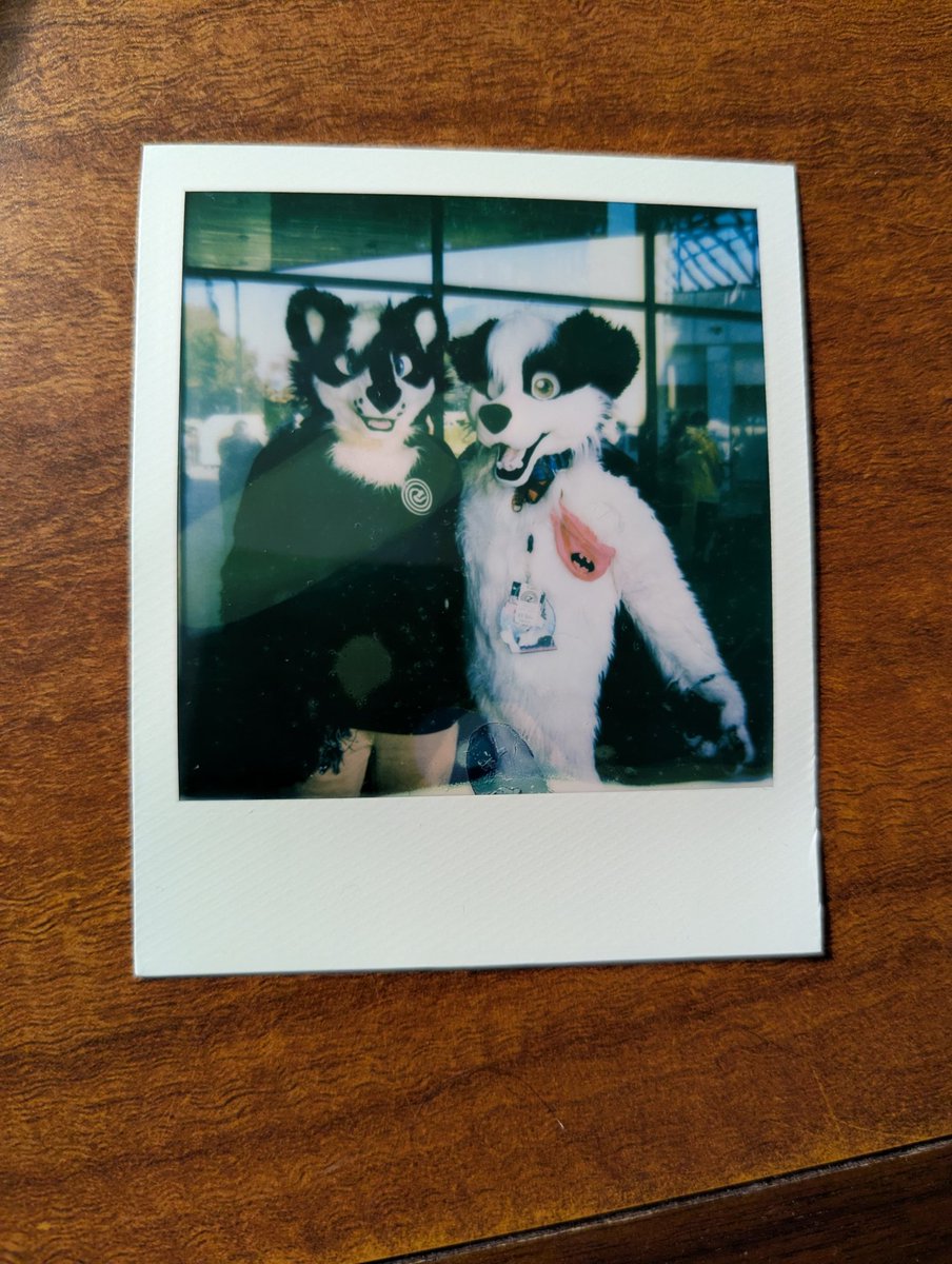 Thanks to that guy who took photos <a href="/FurpocalypseInc/">Furpocalypse</a> using a very cool Polaroid. I also Got to introduce my friend to suiting with a skunk partial I'm keeping safe for my friend