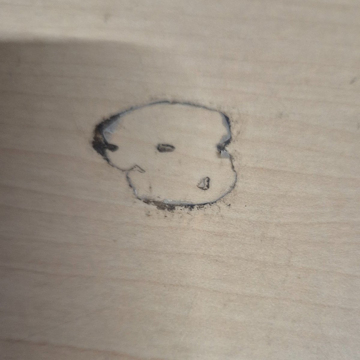Some tape glue residu on the table looks like a little dog head🐶😹