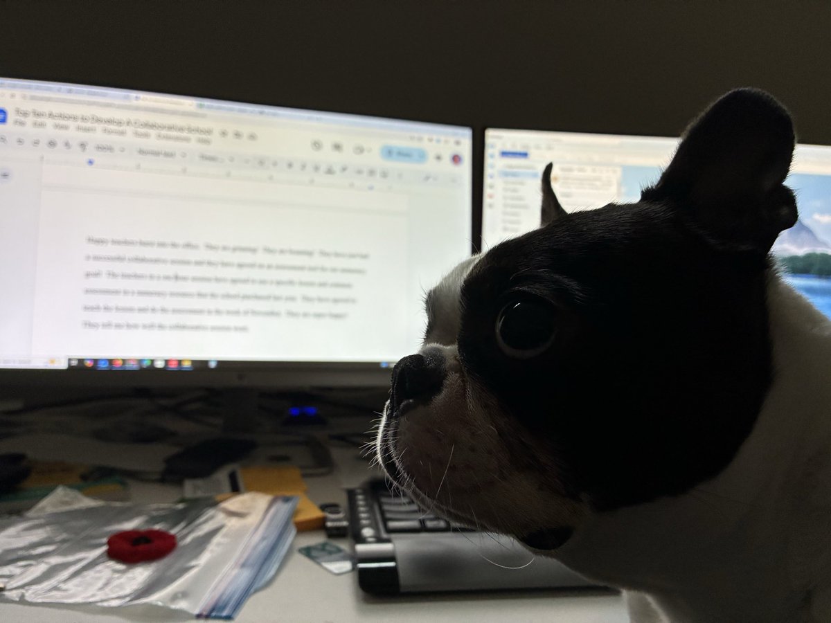 Craig Mah tweet media