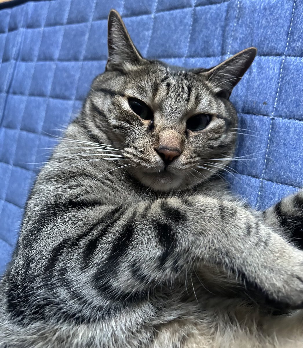 Danny Camaro88 🇯🇵🌎 (@DCamaro88) / Posts / X