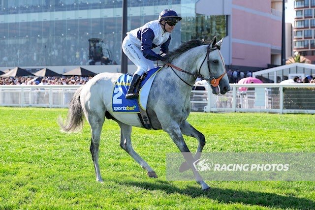 Carl Di Iorio tweet media