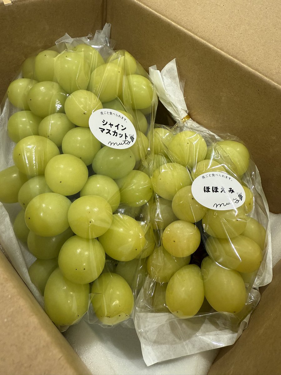 のり (@nori197603) / Posts / X