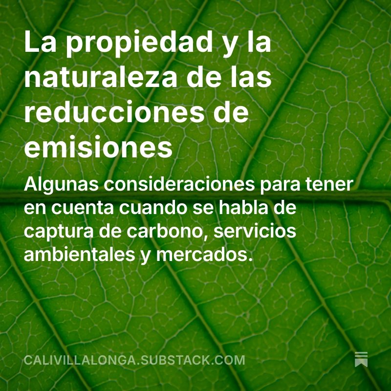 Previendo la ridícula NDC presentada por el Gobierno Nacional, hace unos meses escribí esta nota. Las metas "infladas" son alentadas por un sector vinculado al campo y ciertas administraciones provinciales interesadas en monetizar créditos de carbono.
1/n
open.substack.com/pub/calivillal…