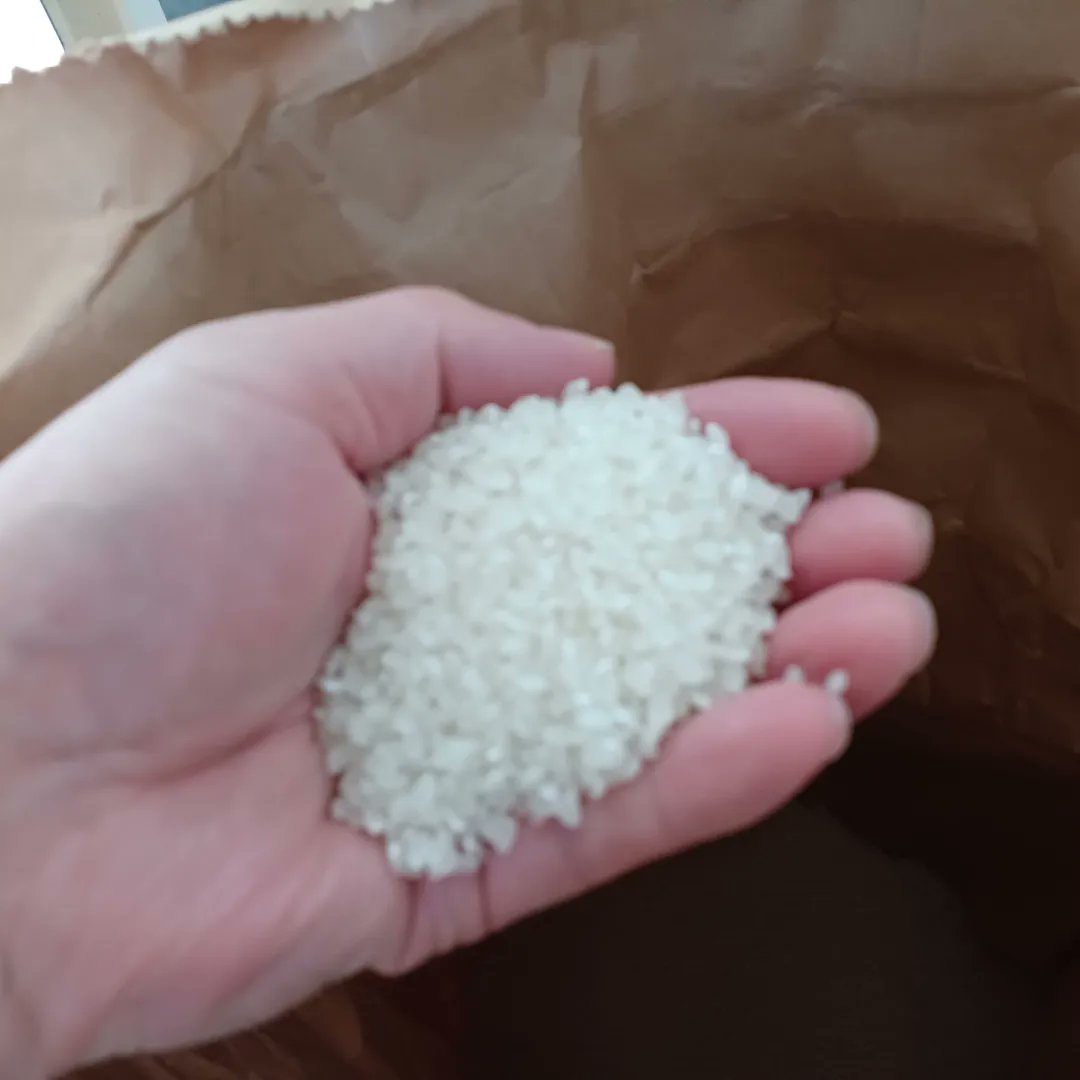 Hiroshi1970Cat's tweet image. ☀️🙋‍♀️❗おはよう🍚新米ひろし🌞
やっぱり😜ご飯は美味しいネ。今日もよろしく😃✌️

#ねこ宇宙 #看板ねこ #まねきねこ #笹かま猫 #ねこのいる整体サロン #新米