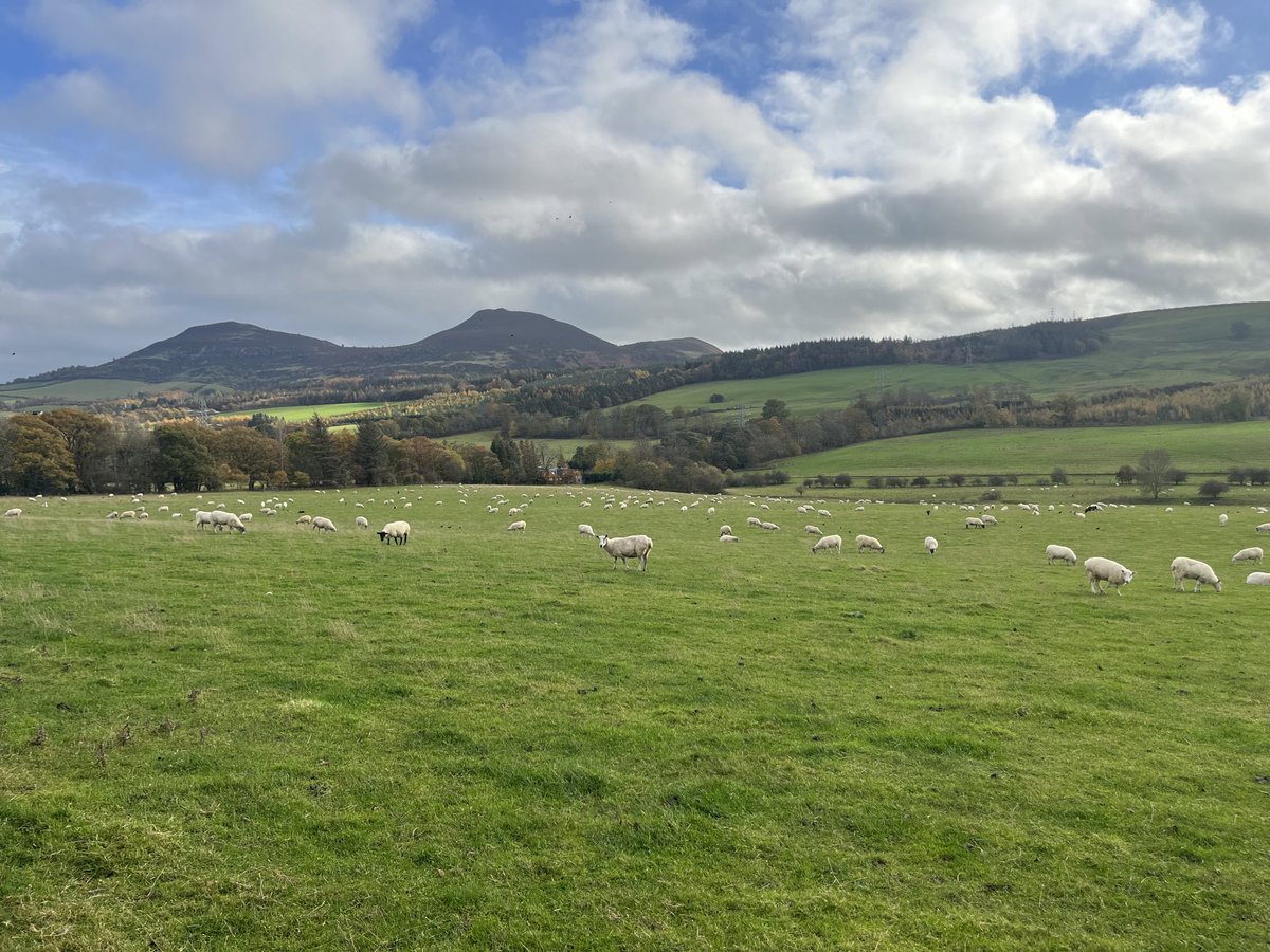 A_fly_kid's tweet photo. Today I walked across the Scottish borders 🍂 https://t.co/nh0fOGPGpG