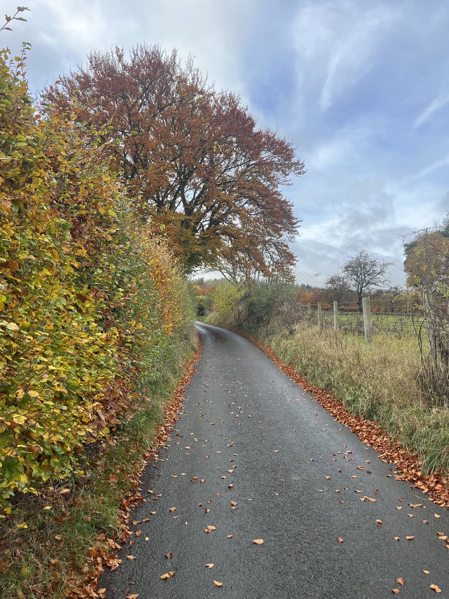 A_fly_kid's tweet photo. Today I walked across the Scottish borders 🍂 https://t.co/nh0fOGPGpG