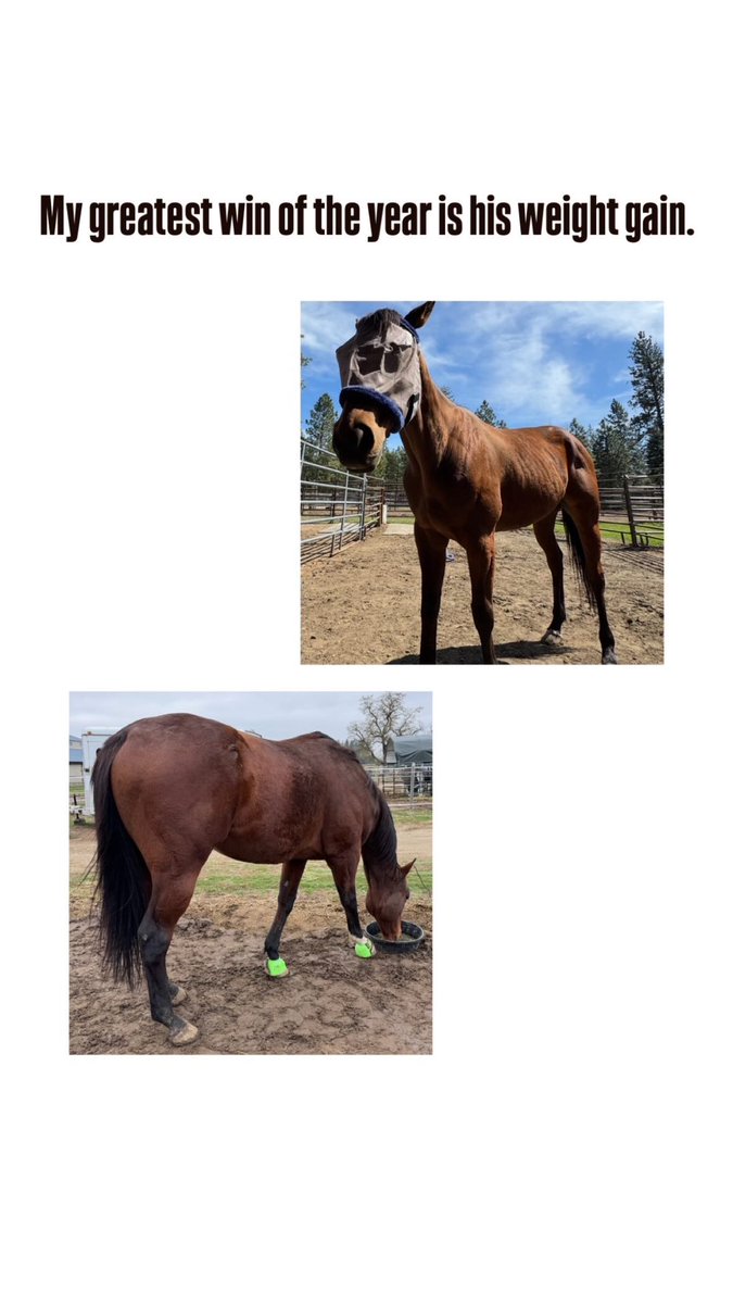 Sara 🌺 tweet media