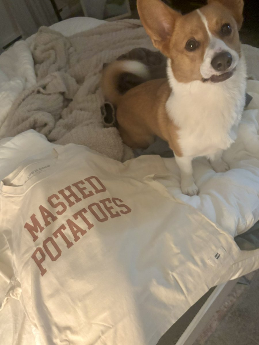 _____julesss's tweet image. It’s here and it’s beautiful (Frank agrees) #mashedpotatoes