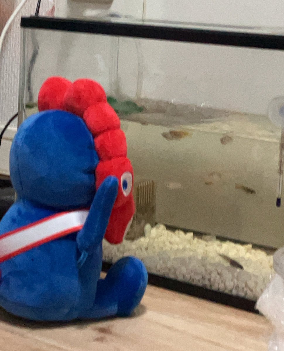 きよちゃん🧸💗 ̖́- on X