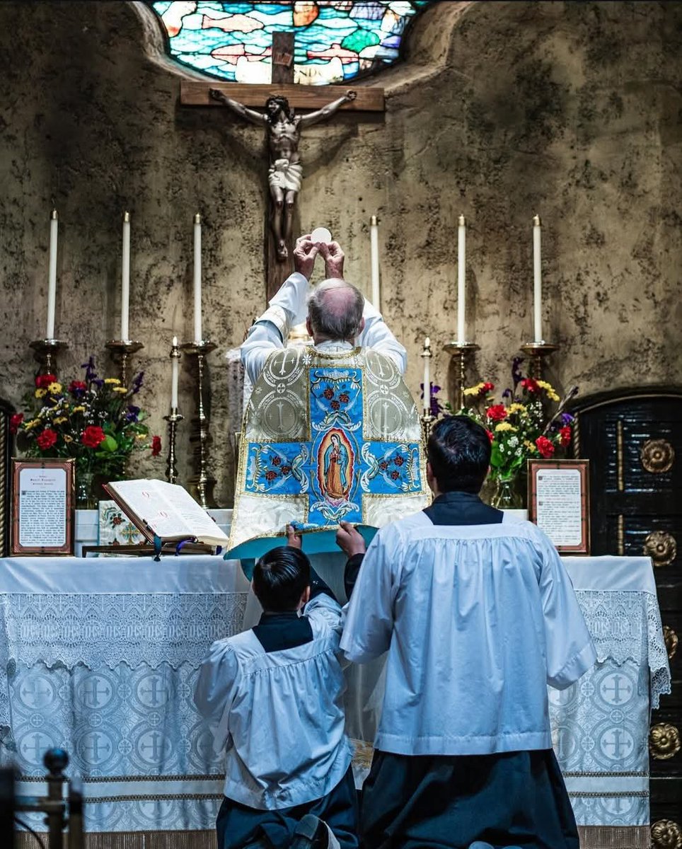 "I urge you with all the strength of my Soul, to approach the Eucharist Table as often as possible."

--𝑺𝒕. 𝑷𝒊𝒆𝒓 𝑮𝒊𝒐𝒓𝒈𝒊𝒐 𝑭𝒓𝒂𝒔𝒔𝒂𝒕𝒊