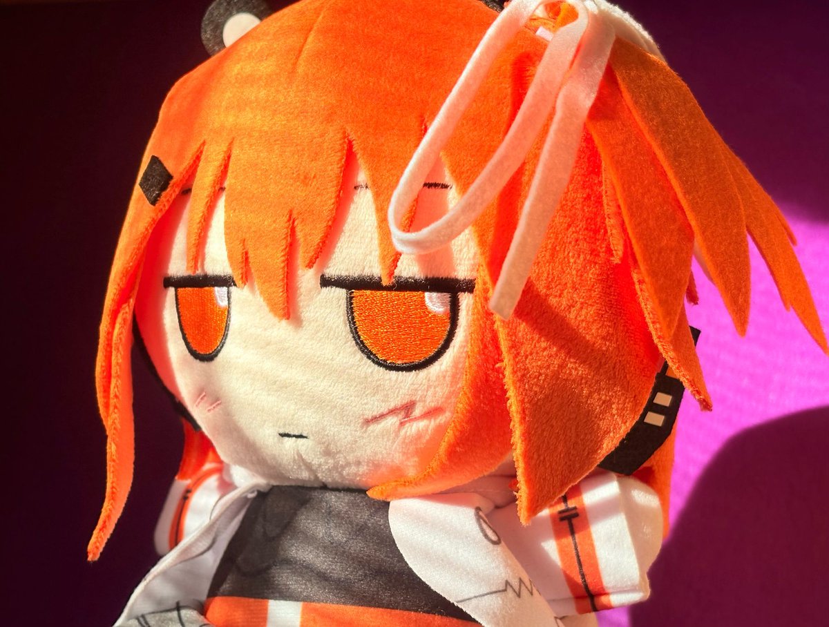 朝の光で輝くｽﾞﾓﾓぬい(& Entac仕様サイドテール） (“⩌ _ ⩌”)ｳﾑ! ﾖｲ