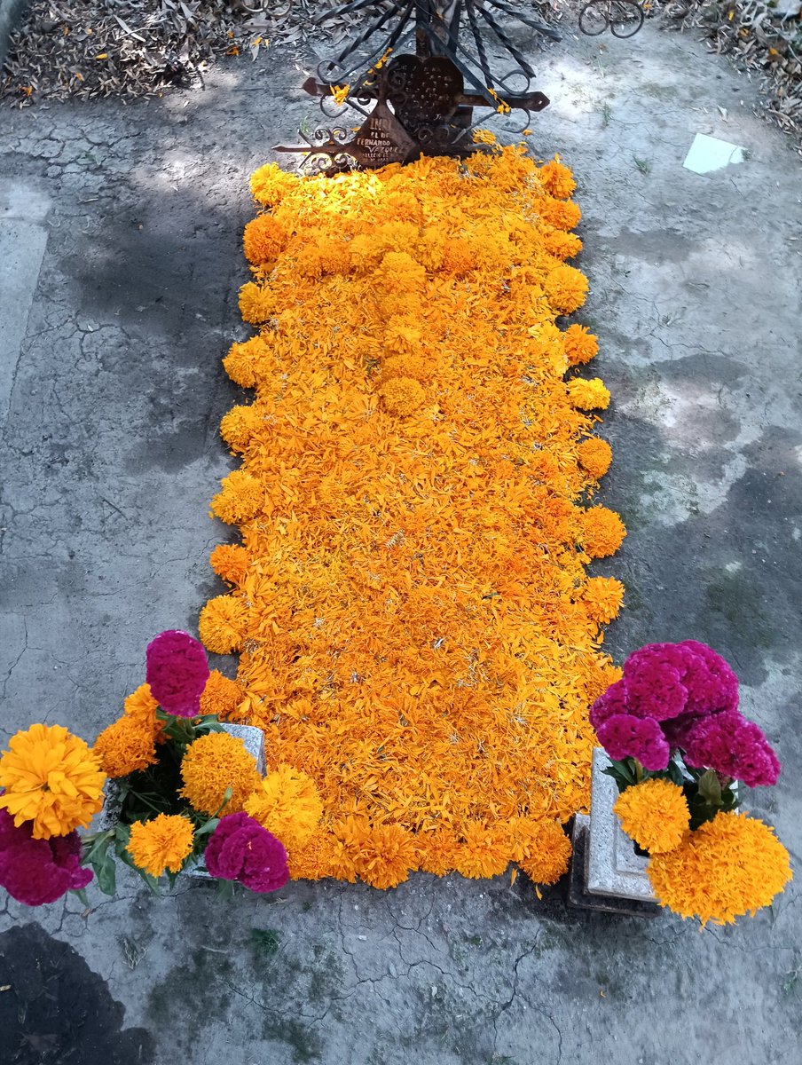 mi novio se levantó bien temprano el sábado para ir a comprar flores y poner bonita la tumba de mi abuelita 🏵️🥹❤️