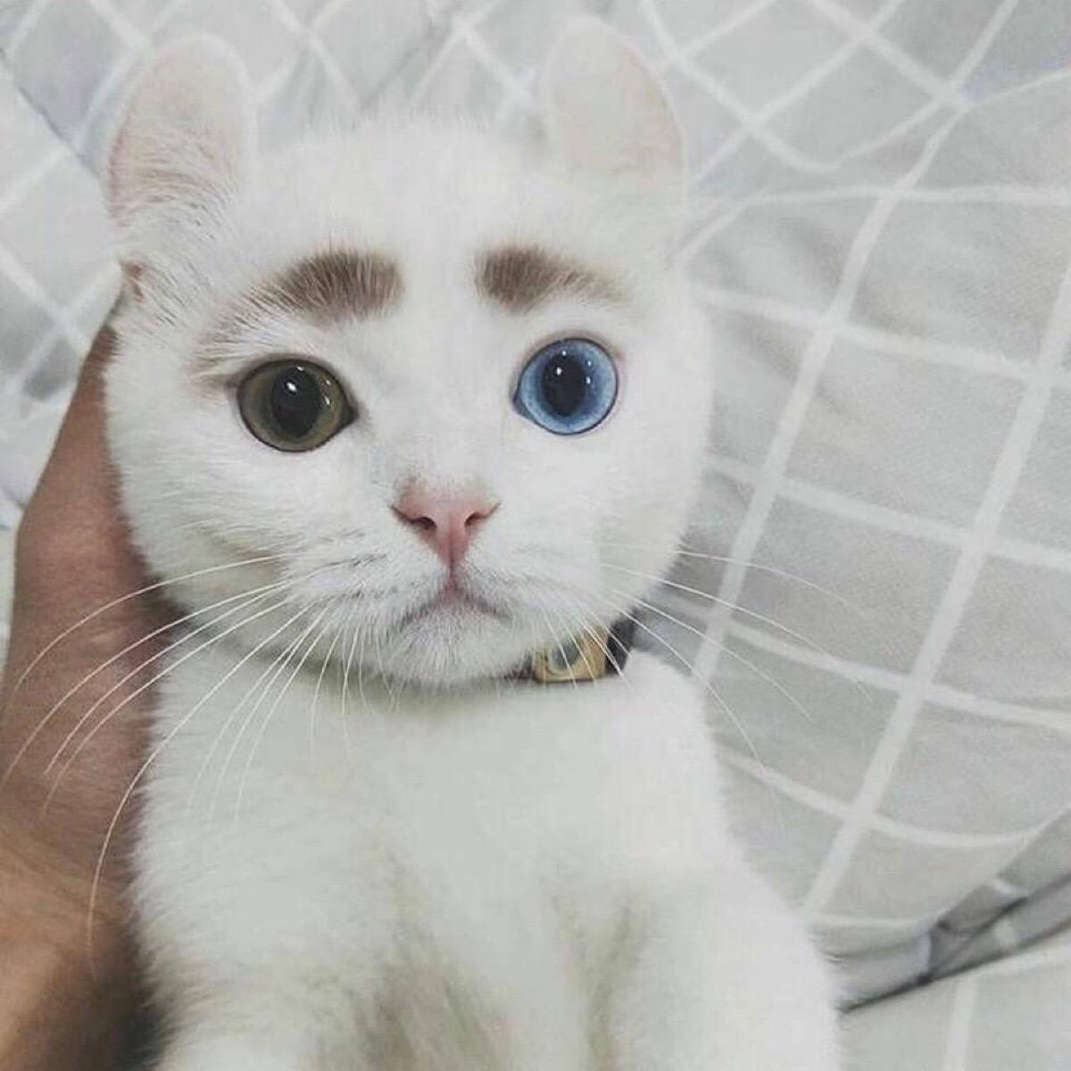 jie_lor's tweet photo. 🕒🐘🦷🟪
sleep pizza reality if never stop learning. time smile goals life smile https://t.co/aI8IX6iIAd