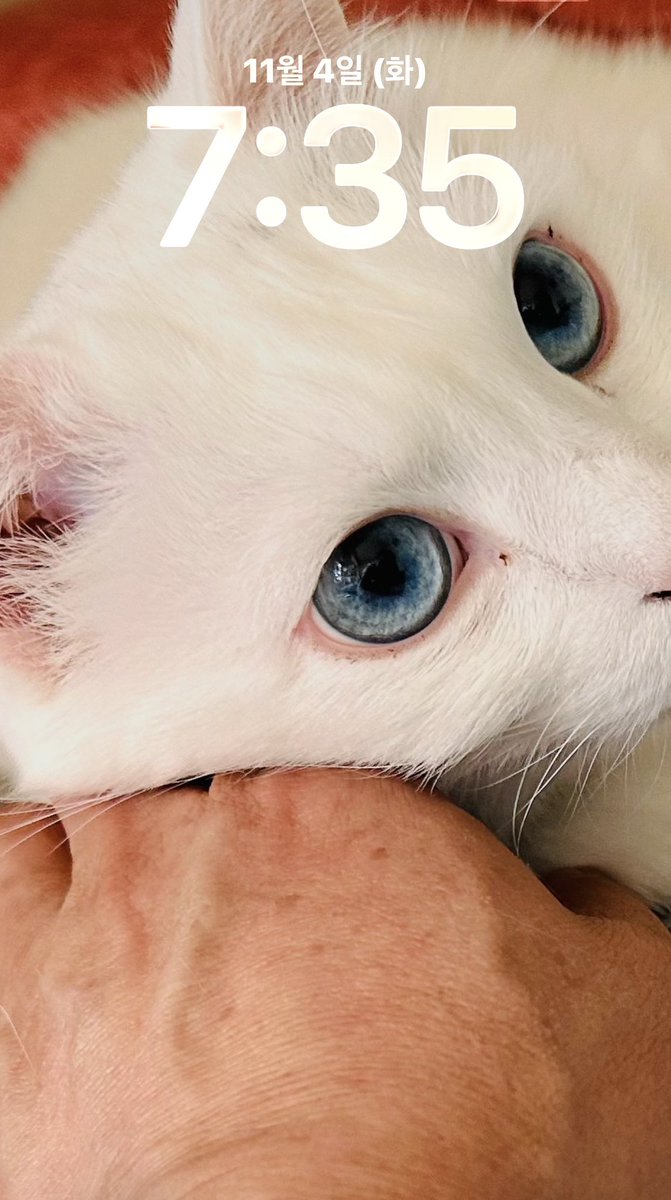 좋은 아침 ~ 
gm ~ 😎