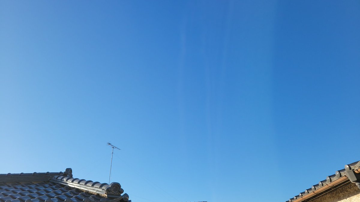 めるめるめ めるめるめー on X