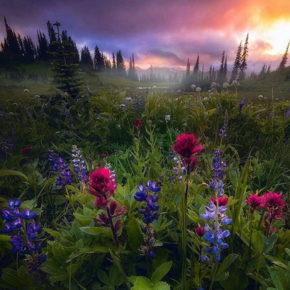 #Geceye “Kalbi kırmaya tek bir söz yeter; 
Ama kırılan kalbi tamir etmeye ne bir özür, ne de bir ömür yeter…”