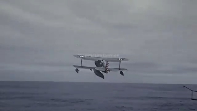 Video oleh @anon-user