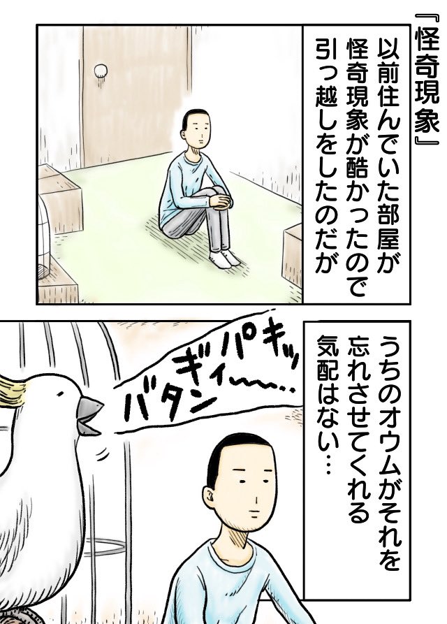 『怪奇現象』
#漫画が読めるハッシュタグ 