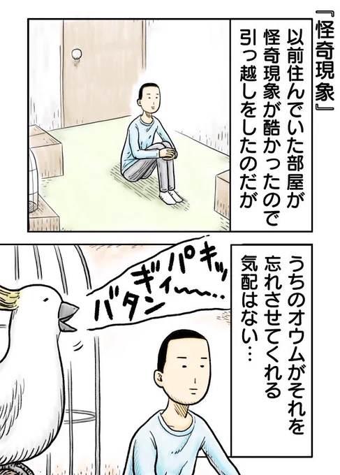 『怪奇現象』
#漫画が読めるハッシュタグ 