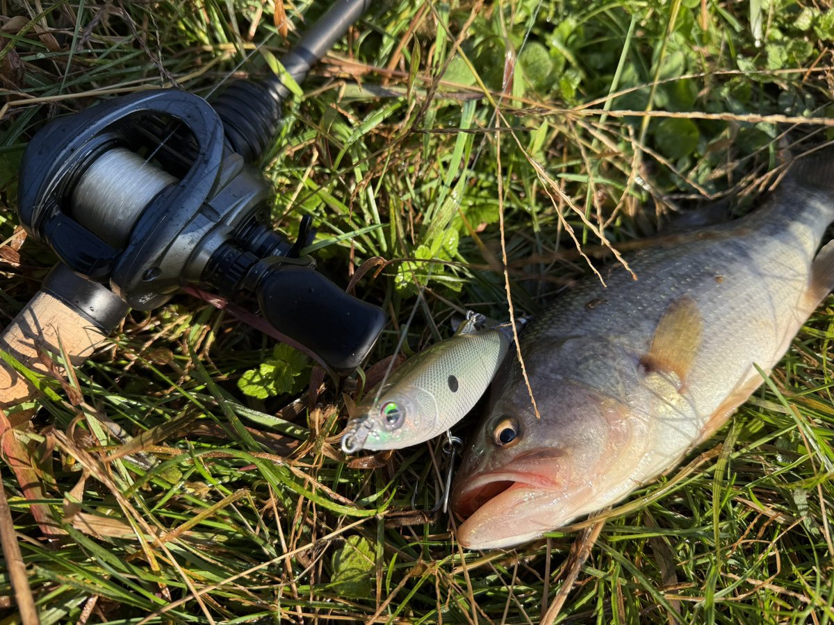 RAPALA ラパラ・ジャパン株式会社 (@rapalajapan) / Posts / X