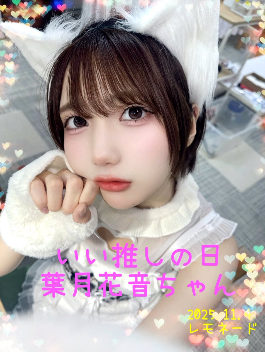 かのんたんしかかたん