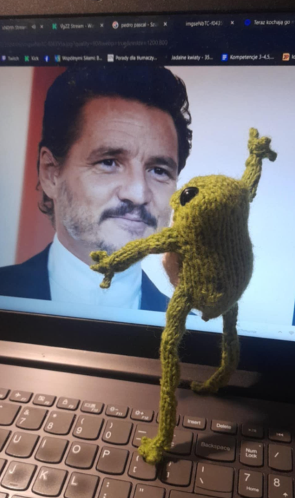 HappyCrucio's tweet photo. Miałam wysłać zdjęcia z progresu żaby. Jedno z tych zdjęć: https://t.co/shOw3h8WbQ