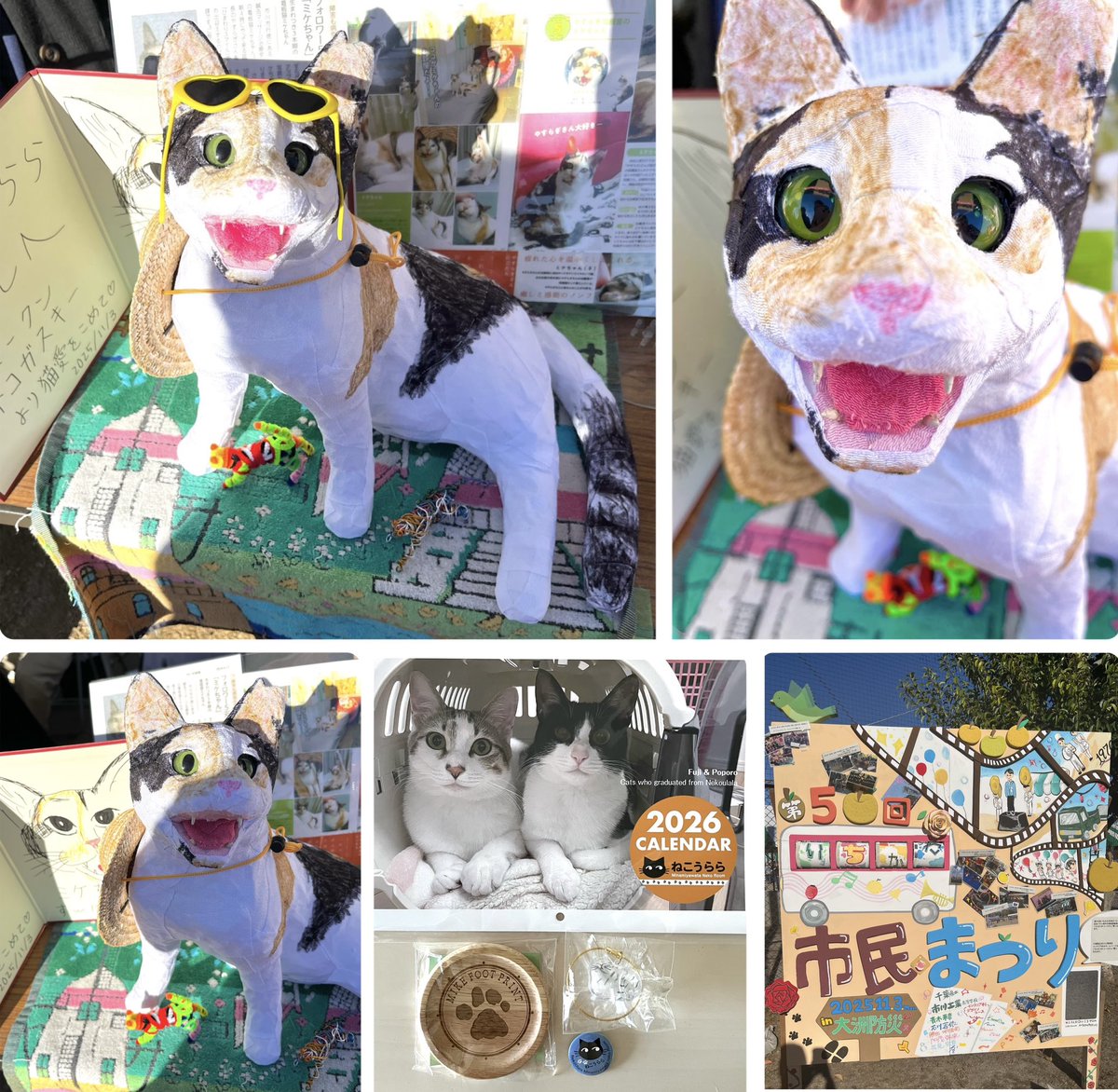 ミケちゃん (@ojm52811) / Posts / X