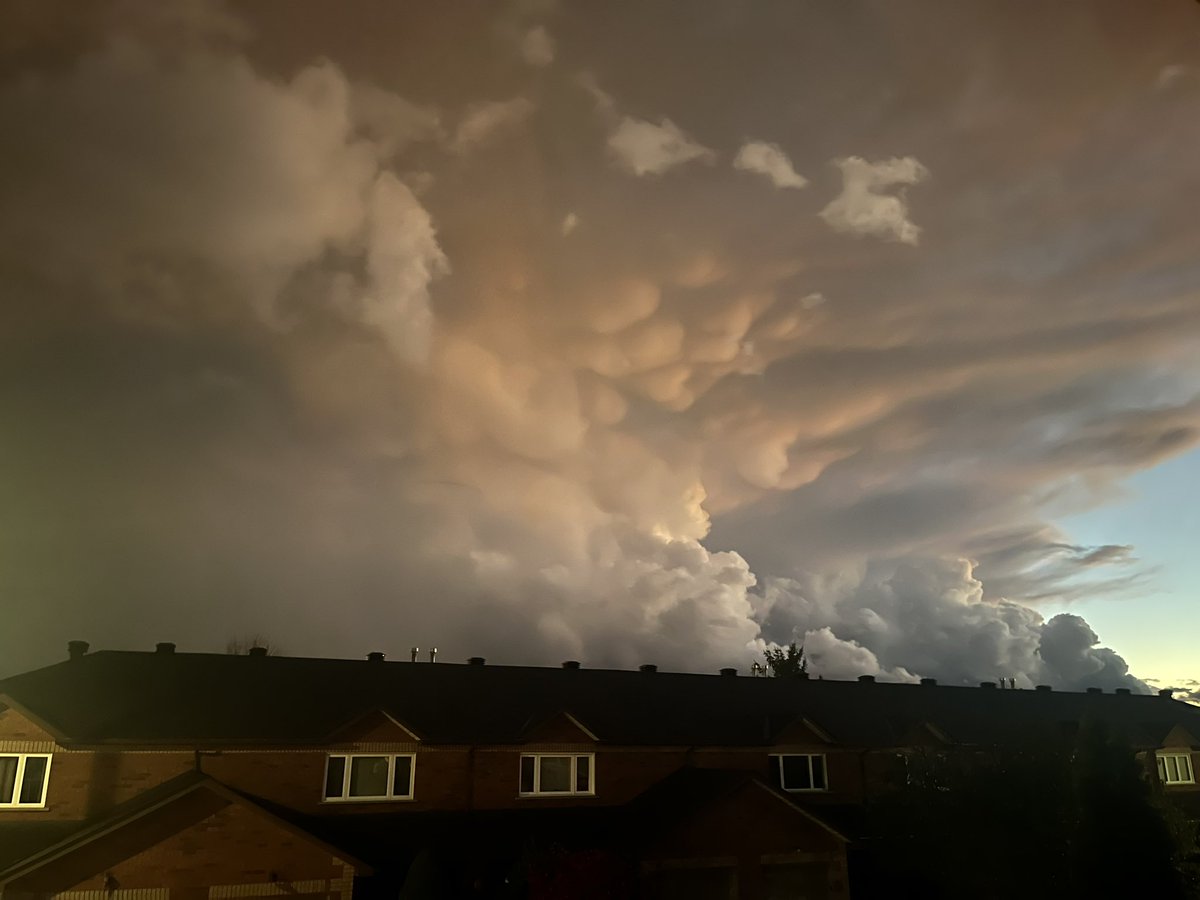 Oh my gosh. The most beautiful November storm ever.