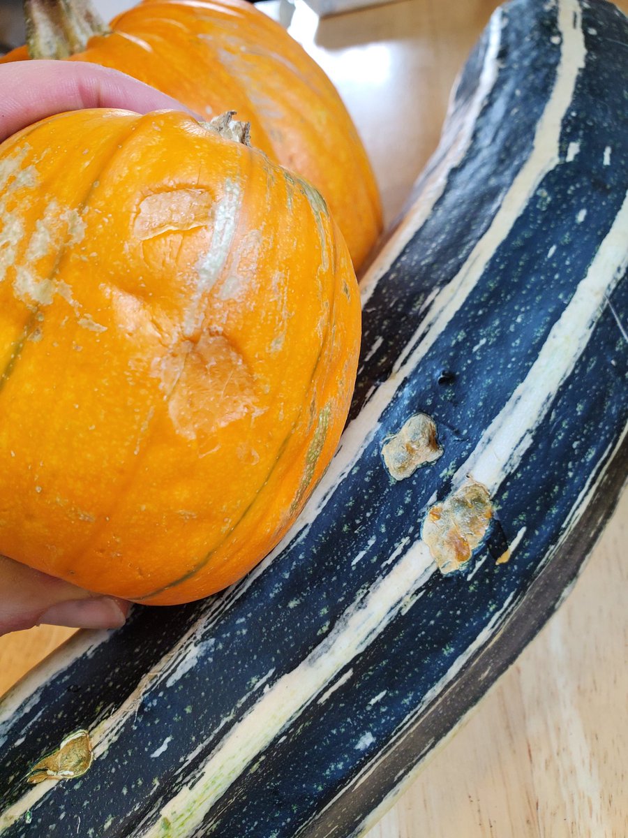 Marks of the 2yo who also took chomps out of doorstep pumpkins while we were trick or treating