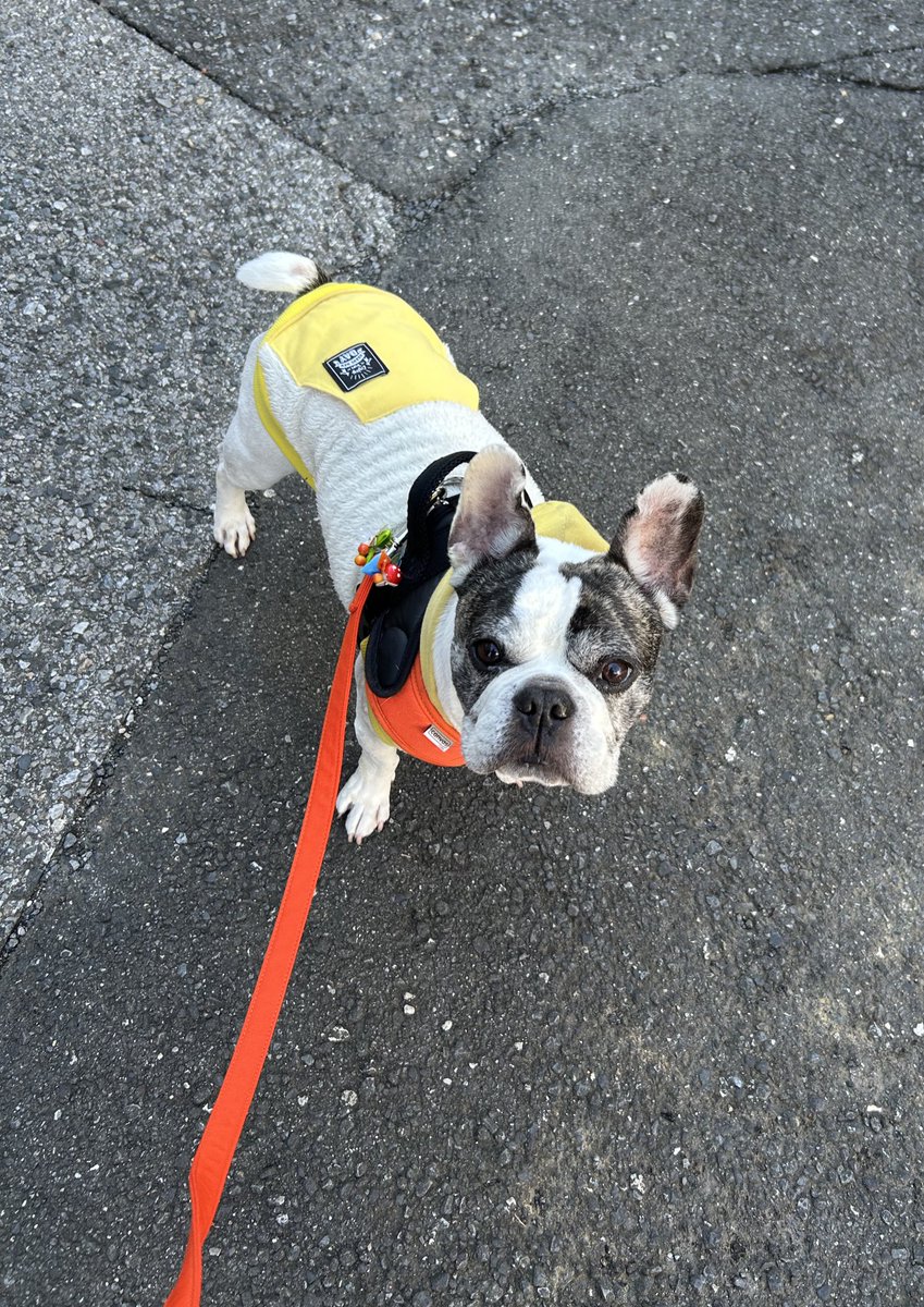 今日は歯の定期メンテナンスの日。もう通い始めて12年。いつもお世話になってます(^^)おはようございます☀