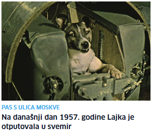 RomaAJB's tweet photo. često mislim o ovoj kujici - ne postoji NIKAKAV tehnološki napredak koji je vrijedan njezinog života i takve smrti https://t.co/yGL9geoQYV