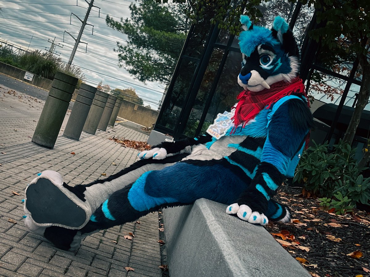 Gotta say smaller cons just hit different.

Big ones are fun but I always feel lost in the chaos, rushed to see everyone, and constantly running around.

Small ones let me breath and truly enjoy the moments instead of trying to rush to the next one 🥰

📸: <a href="/BazelFox/">Bazel 🌸 🔜 Furpoc</a>