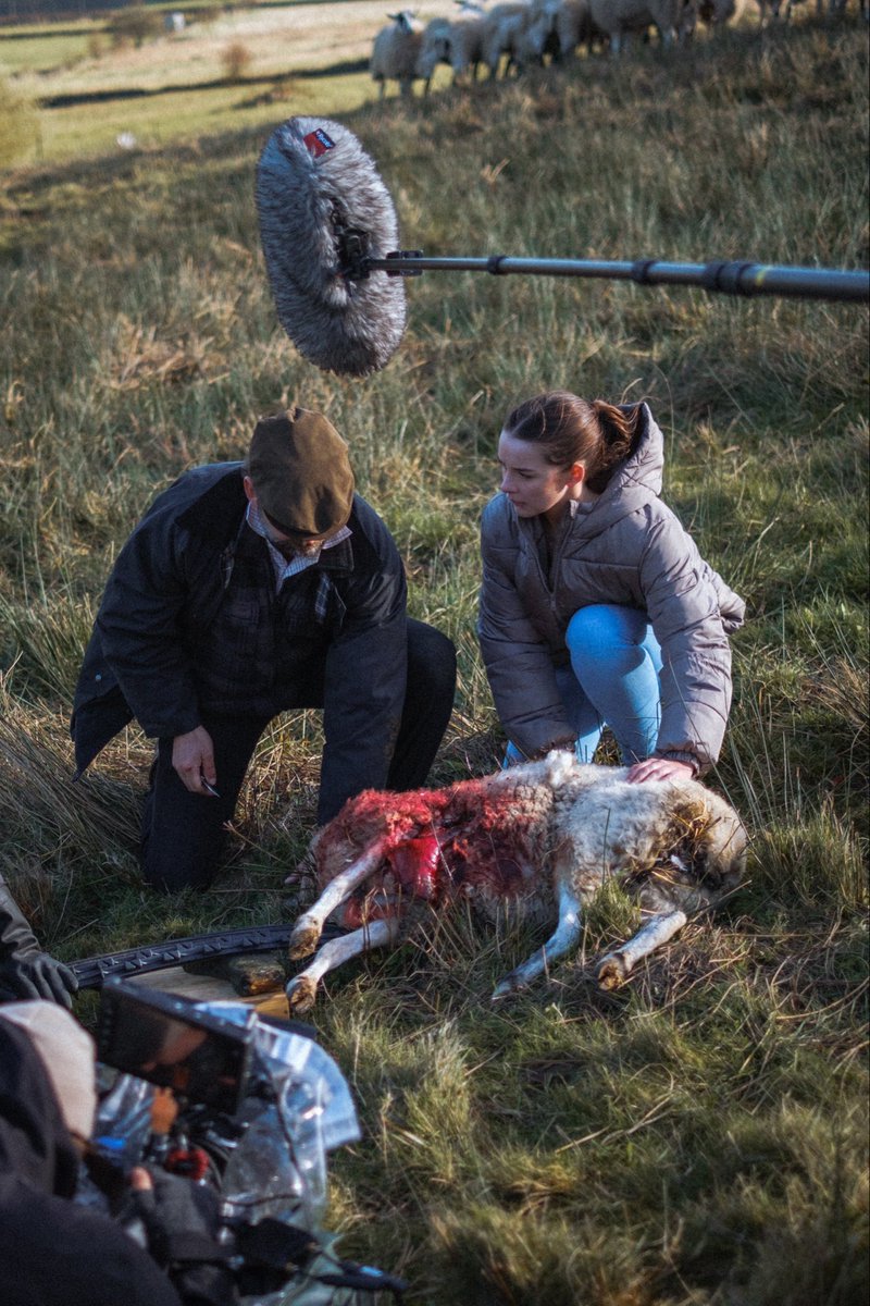 Patrick Monger tweet media