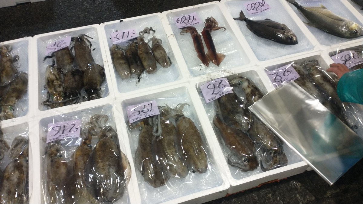 manazurugyokyo's tweet image. 今朝はオオニベが獲れすぎたので小田原魚市場に持ち込みましたが、地魚が山ほどあって良い市場ですねえ😊