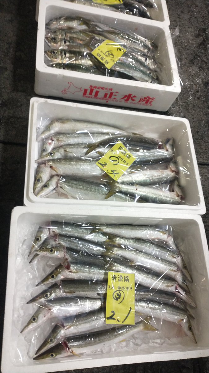 manazurugyokyo's tweet image. 今朝はオオニベが獲れすぎたので小田原魚市場に持ち込みましたが、地魚が山ほどあって良い市場ですねえ😊