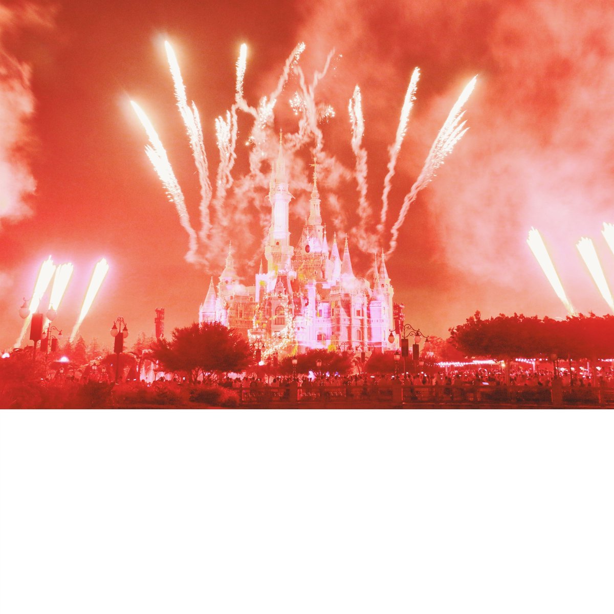 Crystal Chen (@crystal_chen_) on Twitter photo 