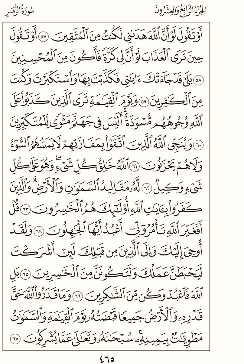 TalhaAhmad81 tweet picture