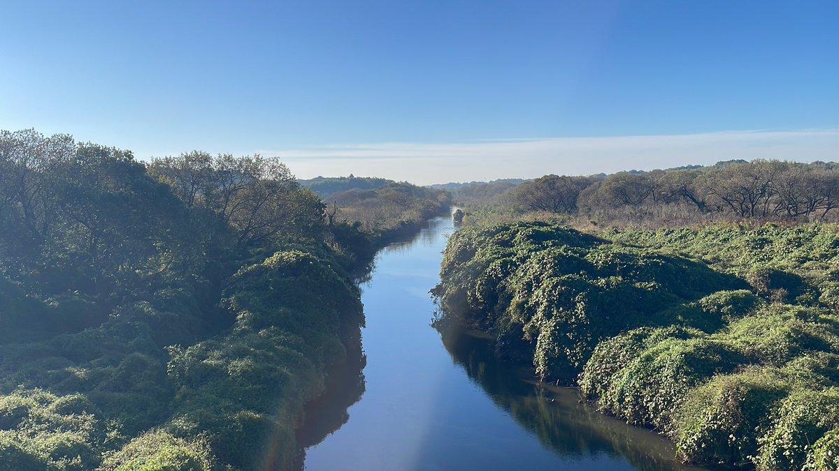 よしえママ on X