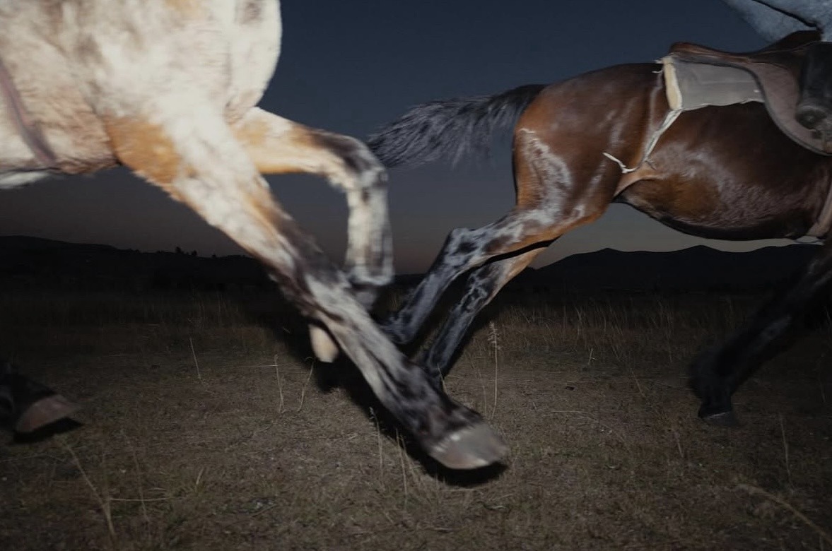 ౨ৎ (@vanyiac) on Twitter photo 