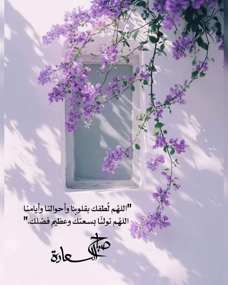 نسألك اللھُمَ في هذا الصباح أن تصلح أمورنا وتهدي قلوبنا وتڪتُب لنا دعواتنا وأحلامنا وتحفظ لنا أهلنا وأحبابنا وتڪتبنا فيمَن رضيت عنهم🕊️
#صبـــاح_الخيـــر