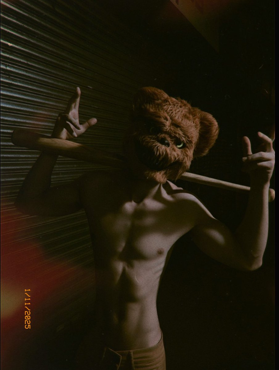 🦁🌈 tweet media